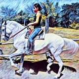 The "daniela lobo" user's logo