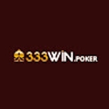 The "333WIN" user's logo