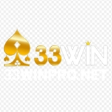 The "33WIN Pro" user's logo
