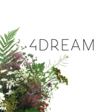 4Dream