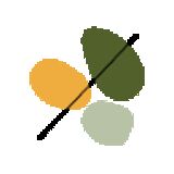 The "The 50 Percent" user's logo