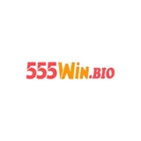 The "555Win" user's logo