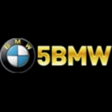 The "55BMW" user's logo