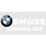 The "Bookmaker 55BMW" user's logo