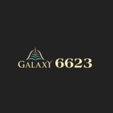The "Trang chủ 6623" user's logo
