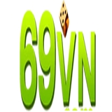 The "66vn" user's logo