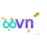 The "66VN" user's logo
