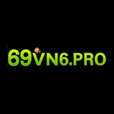 The "69VN6PRO" user's logo