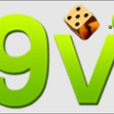 The "69VN" user's logo