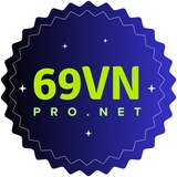 The "69Vnpro Net" user's logo