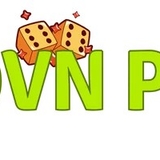 The "69vn" user's logo
