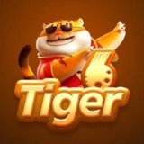 The "6tiger" user's logo