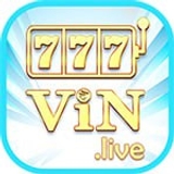 The "777VIN" user's logo
