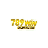The "789WIN" user's logo