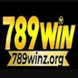 The "789WIN" user's logo
