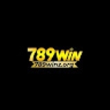 The "789Winz Org" user's logo