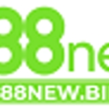 The "888Newbid2025" user's logo