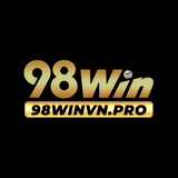 The "98winvnpro" user's logo