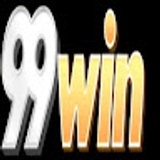 The "99Win55 cn com" user's logo