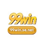 The "99winsenet" user's logo