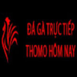 The "Đá Gà Trực Tiếp Thomo Hôm Nay" user's logo