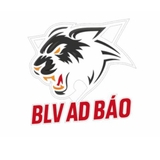 The "BLV Ad Báo" user's logo