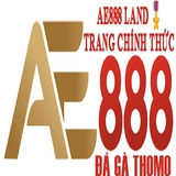 The "ĐÁ GÀ TRỰC TIẾP" user's logo