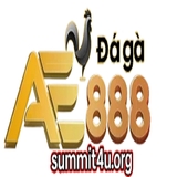 The "ae888sum" user's logo