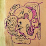 The "Alon Shusterman" user's logo