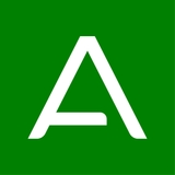 The "Ampere Academy" user's logo