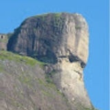 The "André Raya" user's logo