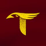 The "Ang Tinig - Hinigaran National High School" user's logo