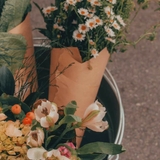 Agnė 