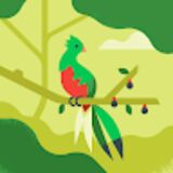 The "Luis Bran Quintana" user's logo