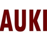 The "aukieditor" user's logo