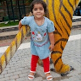 Rehan Awan