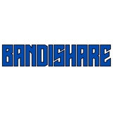 The "Bandishare" user's logo