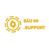 The "bao99support" user's logo