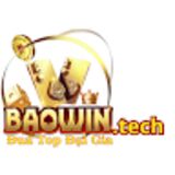 The "BAOWIN tech" user's logo