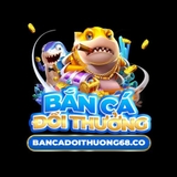 The "bcdt68co" user's logo