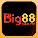 The "big88ltd" user's logo