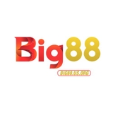 The "big88usorg" user's logo