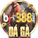 The "Bj388" user's logo