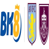 The "Bk8 BV" user's logo