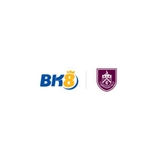 The "bk8viet net" user's logo