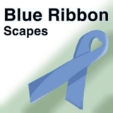 The "blueribbon" user's logo