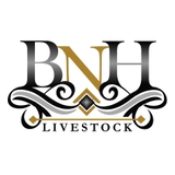 bnhlivestock