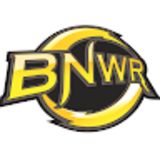 The "BNWR Promotions" user's logo