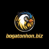 The "bogatonhonbiz" user's logo