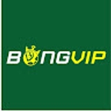 The "Nhà Cái BongVip" user's logo